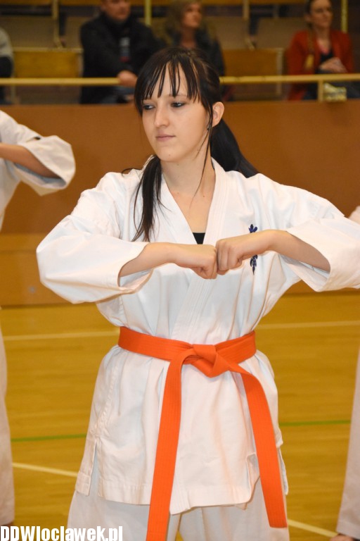 Otwarty trening karate kyokushin