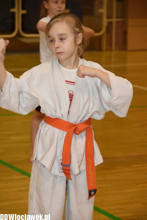 Otwarty trening karate kyokushin