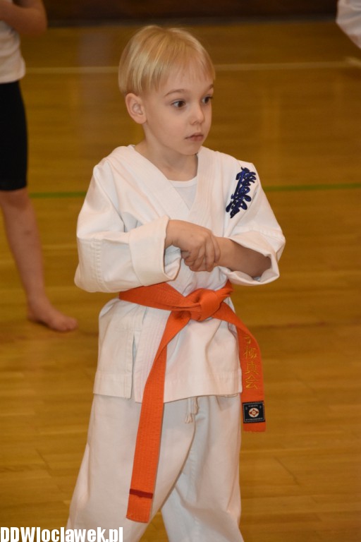 Otwarty trening karate kyokushin