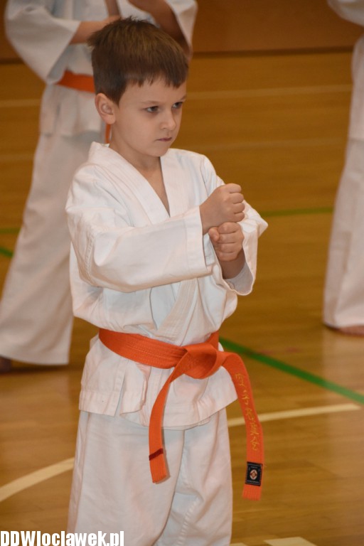 Otwarty trening karate kyokushin