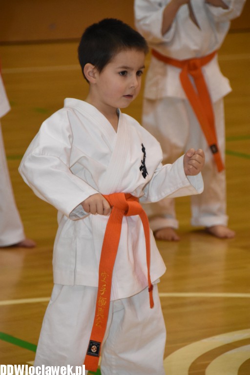 Otwarty trening karate kyokushin
