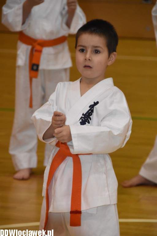 Otwarty trening karate kyokushin