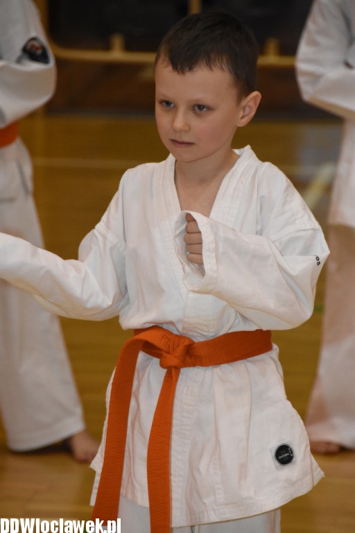 Otwarty trening karate kyokushin