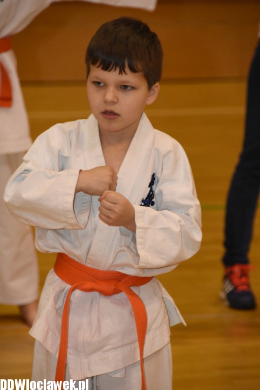 Otwarty trening karate kyokushin