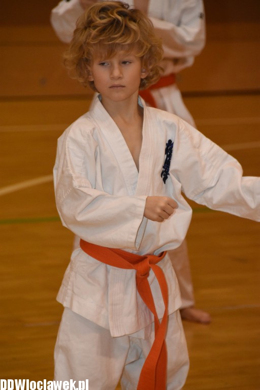 Otwarty trening karate kyokushin