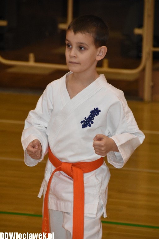 Otwarty trening karate kyokushin