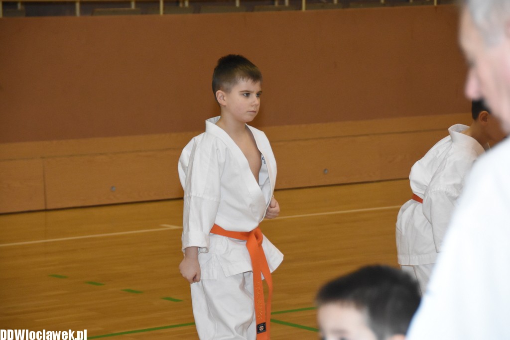 Otwarty trening karate kyokushin