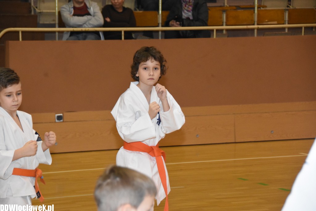 Otwarty trening karate kyokushin