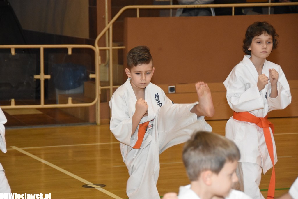 Otwarty trening karate kyokushin