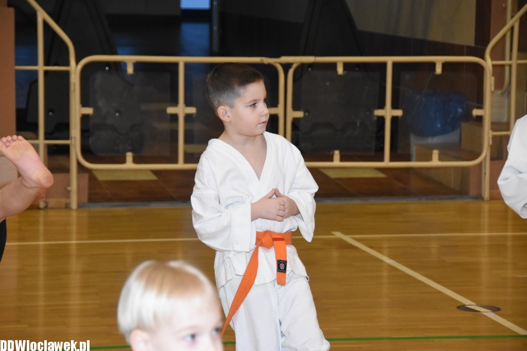 Otwarty trening karate kyokushin