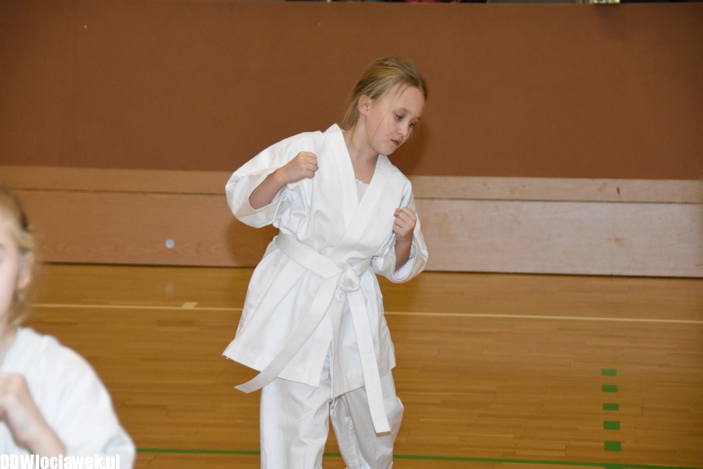 Otwarty trening karate kyokushin