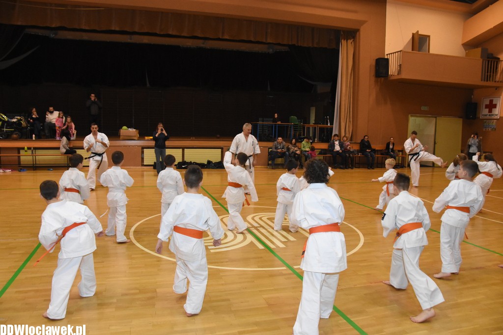 Otwarty trening karate kyokushin