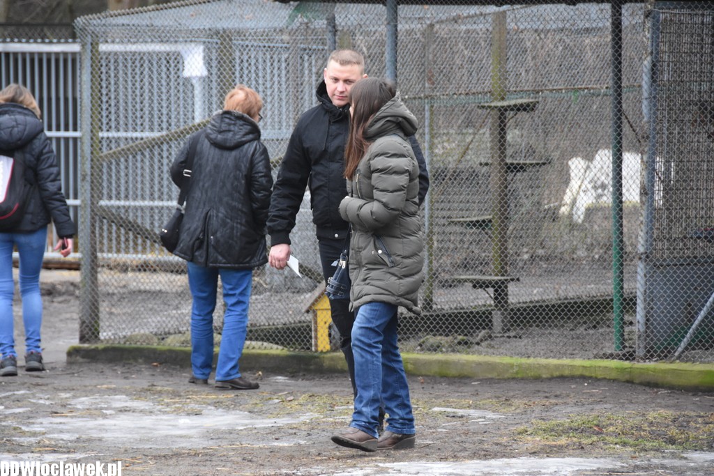 Bieg na sześć łap w schronisku