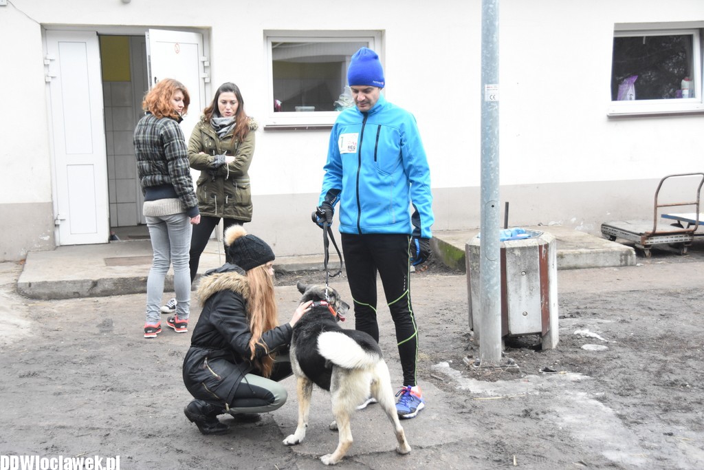 Bieg na sześć łap w schronisku