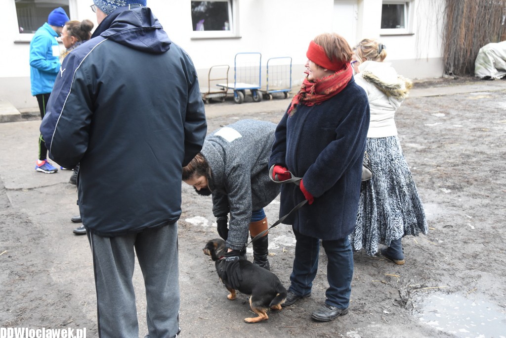 Bieg na sześć łap w schronisku