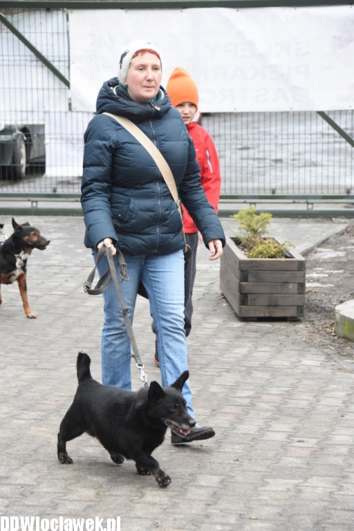 Bieg na sześć łap w schronisku