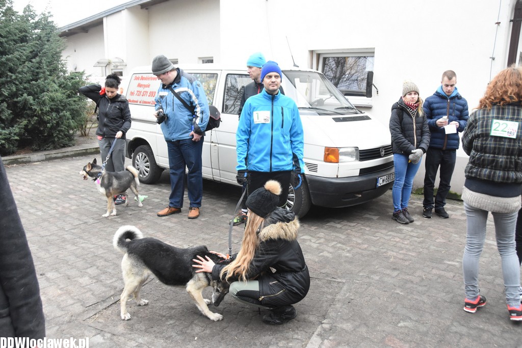 Bieg na sześć łap w schronisku