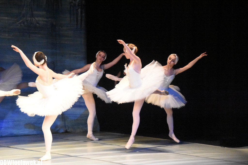 Jezioro Łabędzie w teatrze