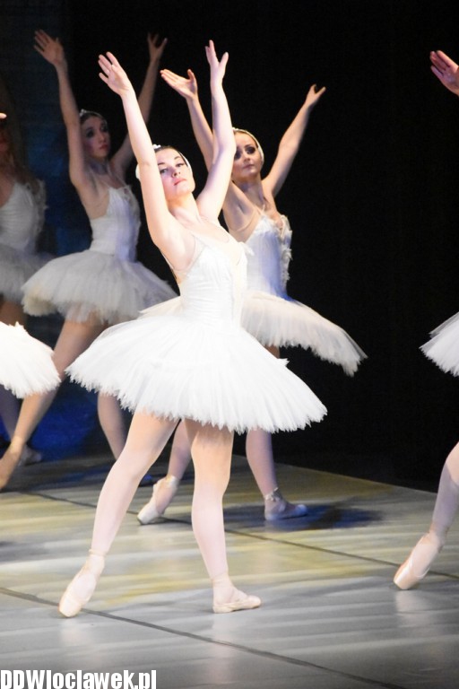 Jezioro Łabędzie w teatrze