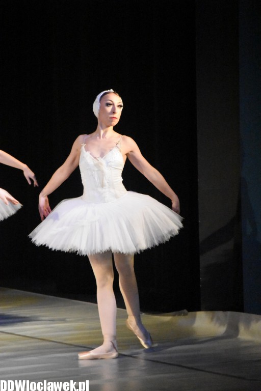 Jezioro Łabędzie w teatrze