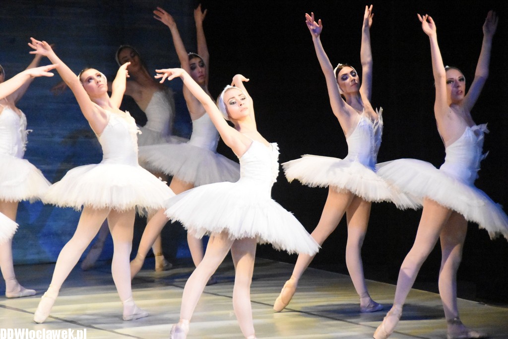 Jezioro Łabędzie w teatrze