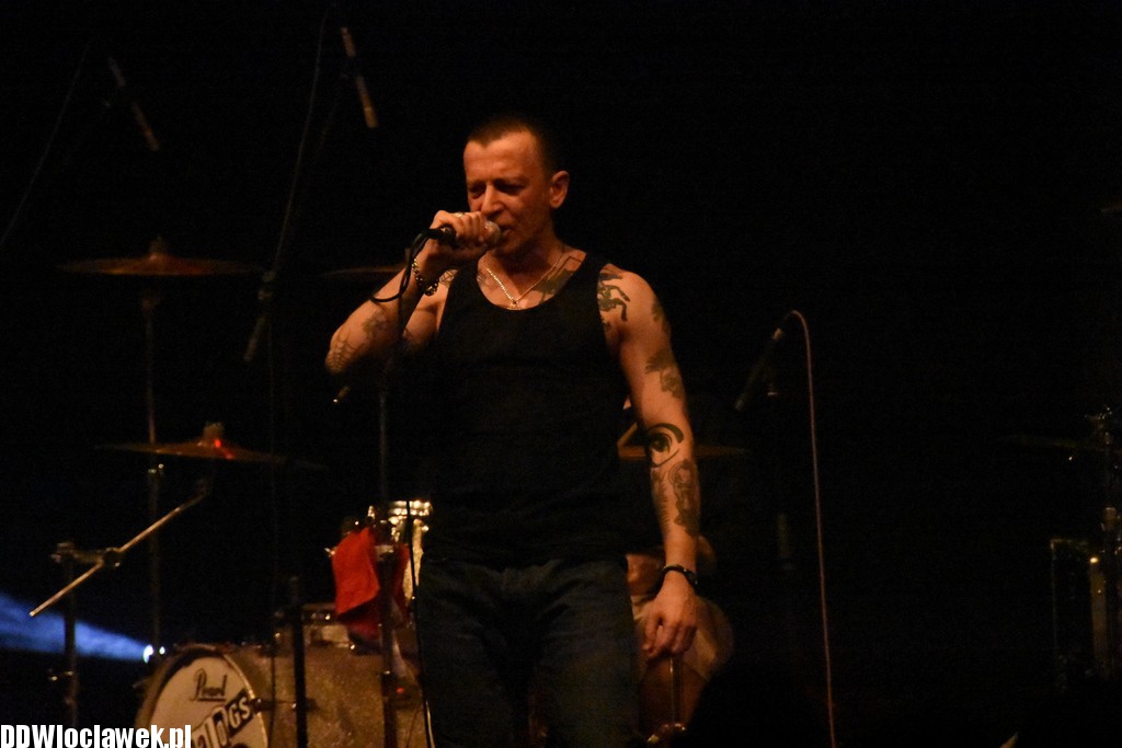 Koncert Farben Lehre w Browarze B
