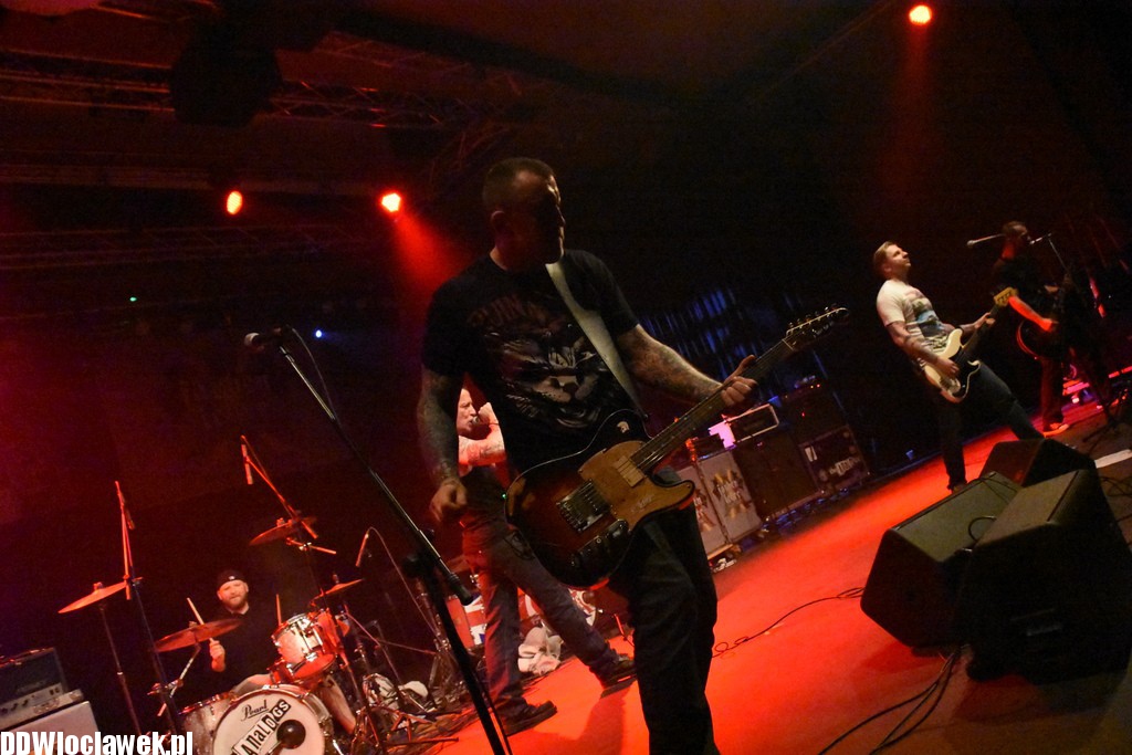 Koncert Farben Lehre w Browarze B