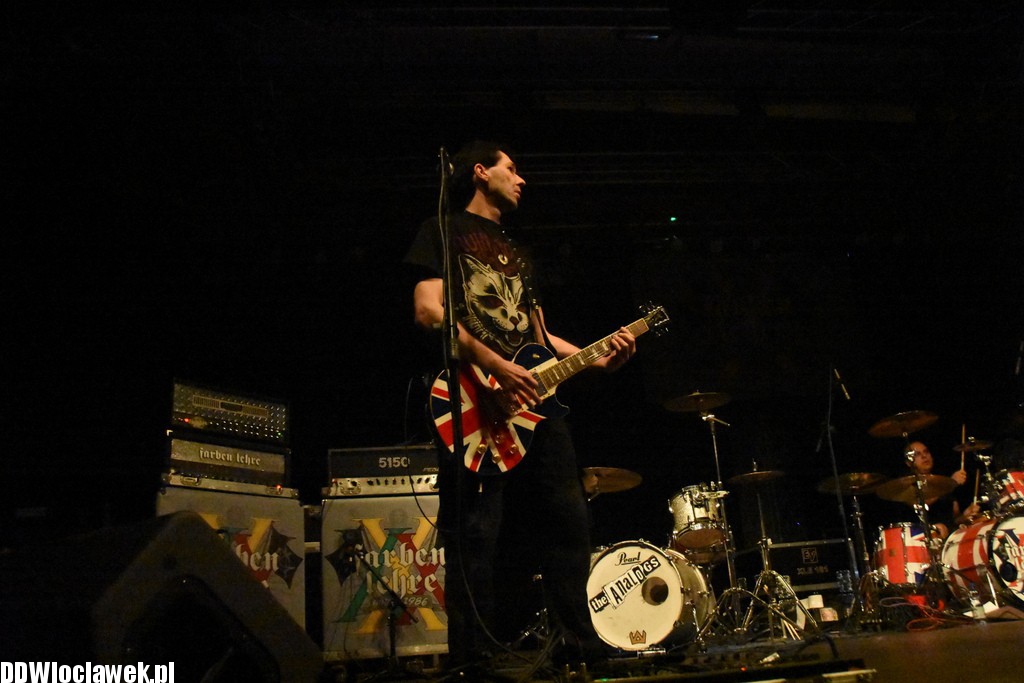 Koncert Farben Lehre w Browarze B