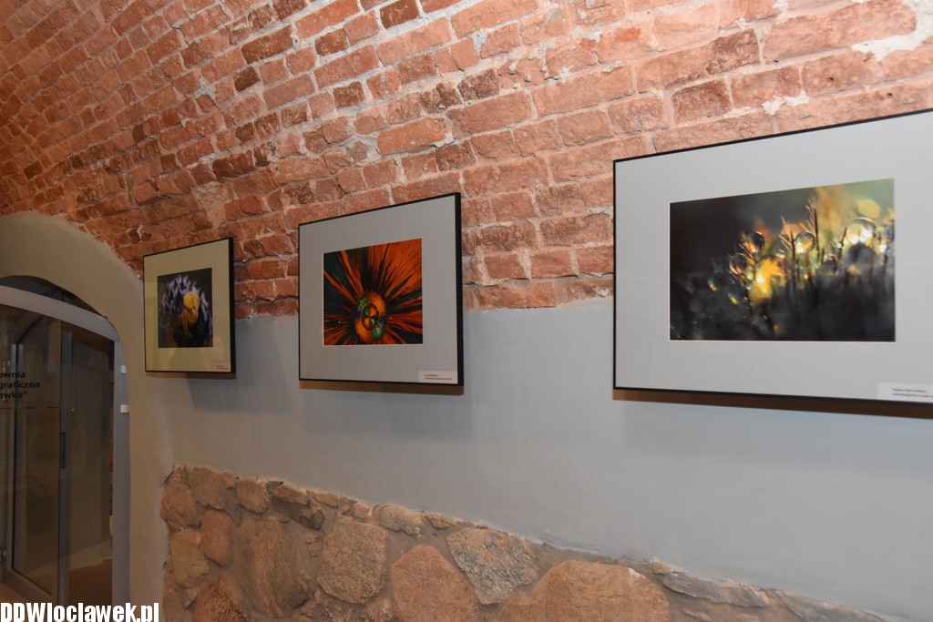 Mikroświaty w Centrum Kultury