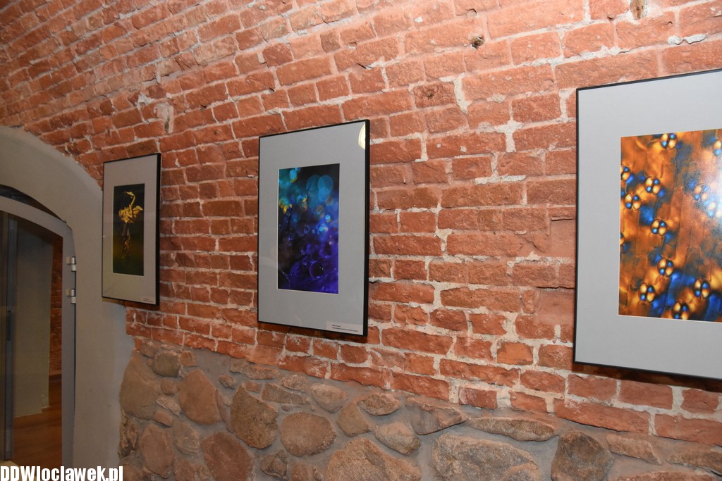 Mikroświaty w Centrum Kultury