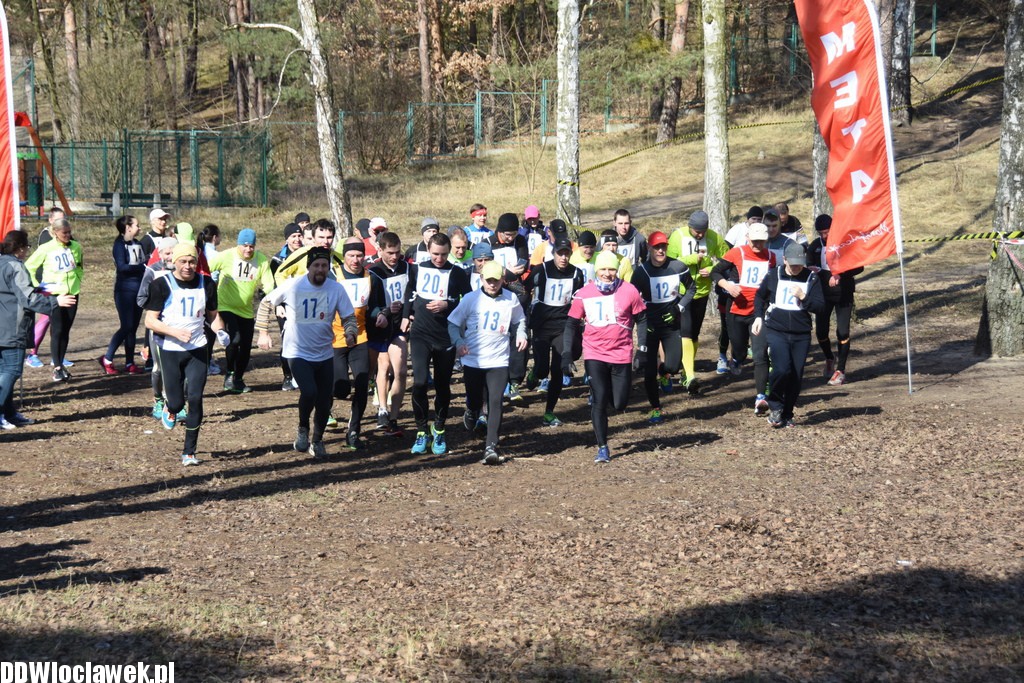 Vladislavia Cross na Zawiślu