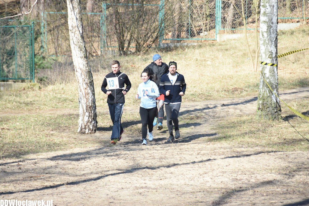 Vladislavia Cross na Zawiślu