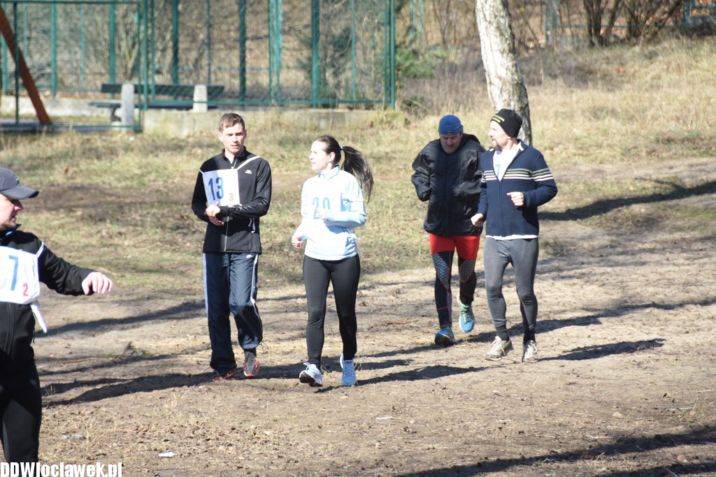Vladislavia Cross na Zawiślu