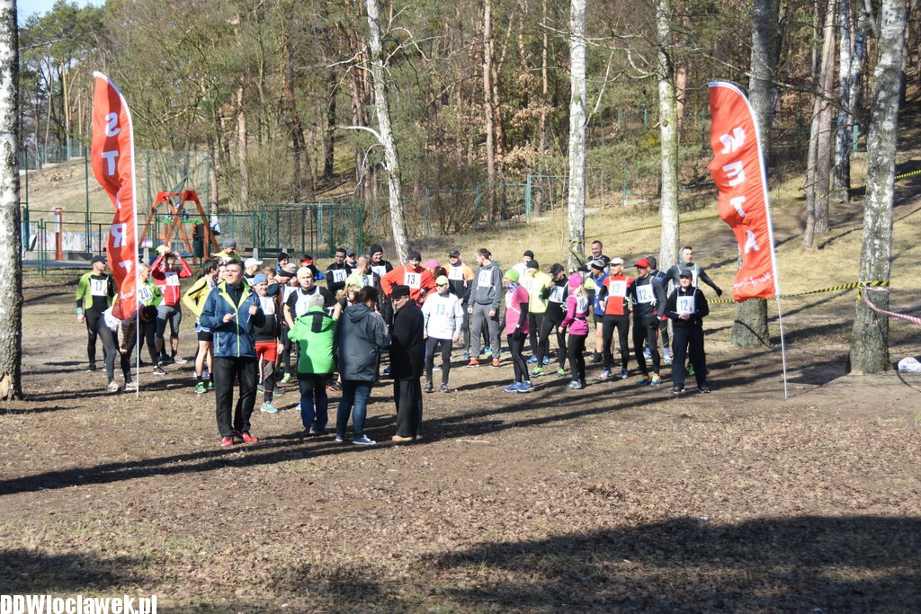 Vladislavia Cross na Zawiślu