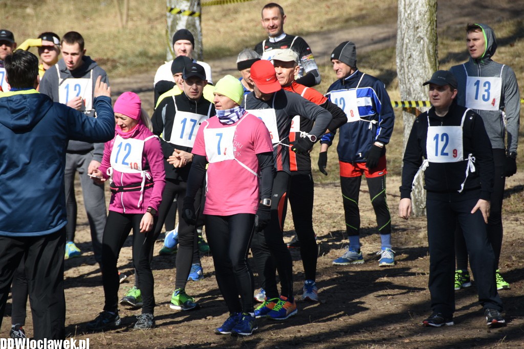 Vladislavia Cross na Zawiślu