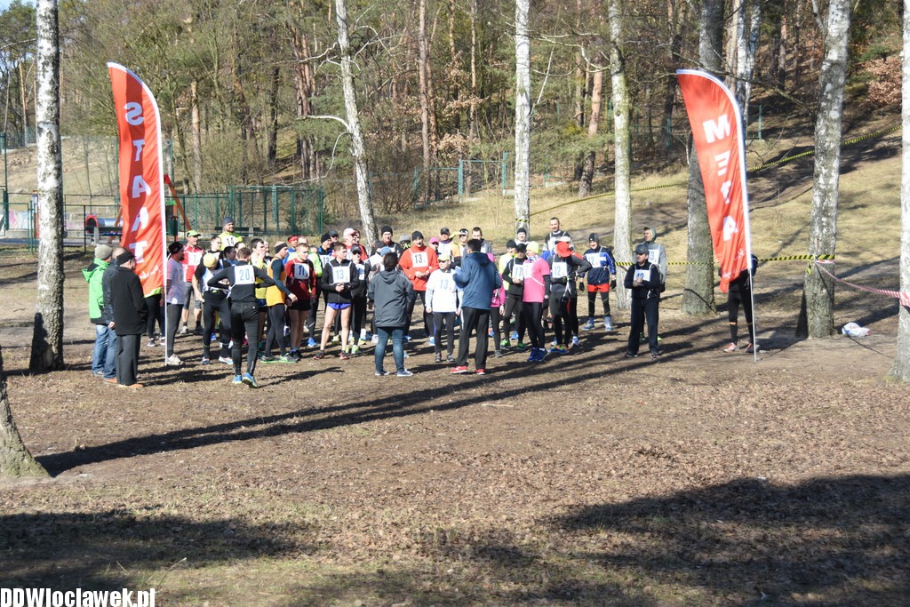 Vladislavia Cross na Zawiślu