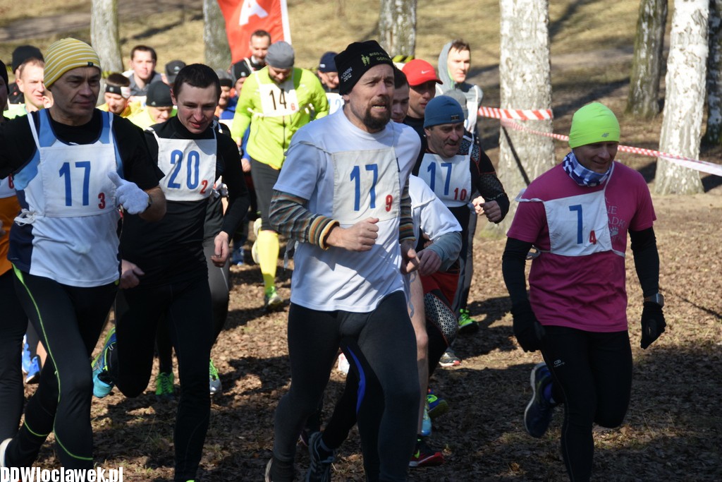 Vladislavia Cross na Zawiślu