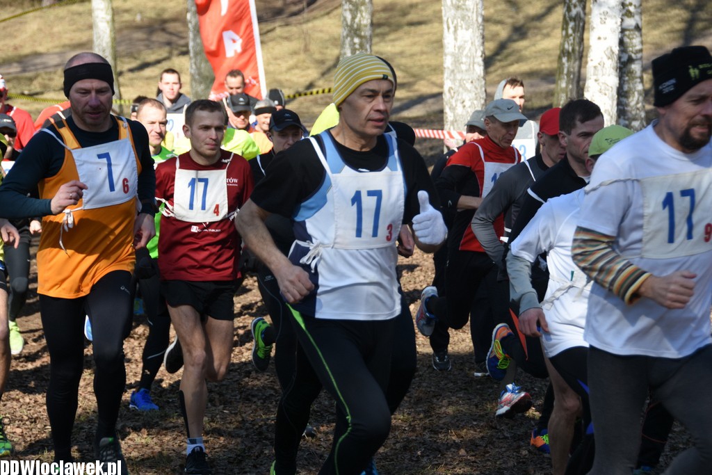 Vladislavia Cross na Zawiślu