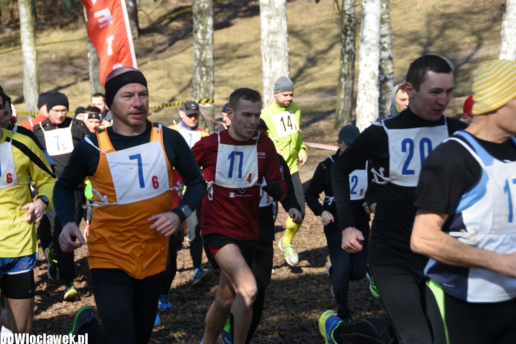 Vladislavia Cross na Zawiślu