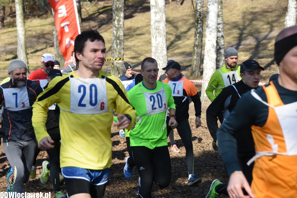 Vladislavia Cross na Zawiślu