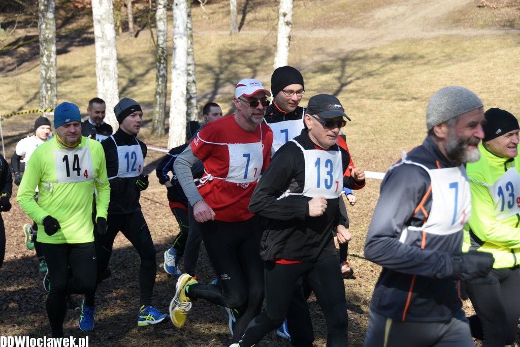 Vladislavia Cross na Zawiślu
