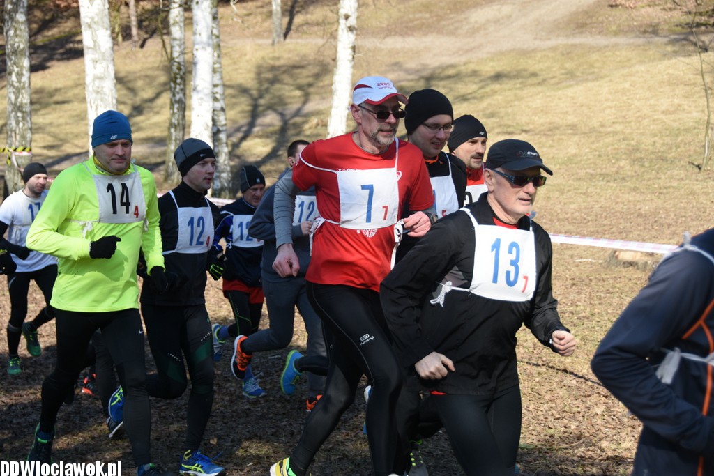 Vladislavia Cross na Zawiślu