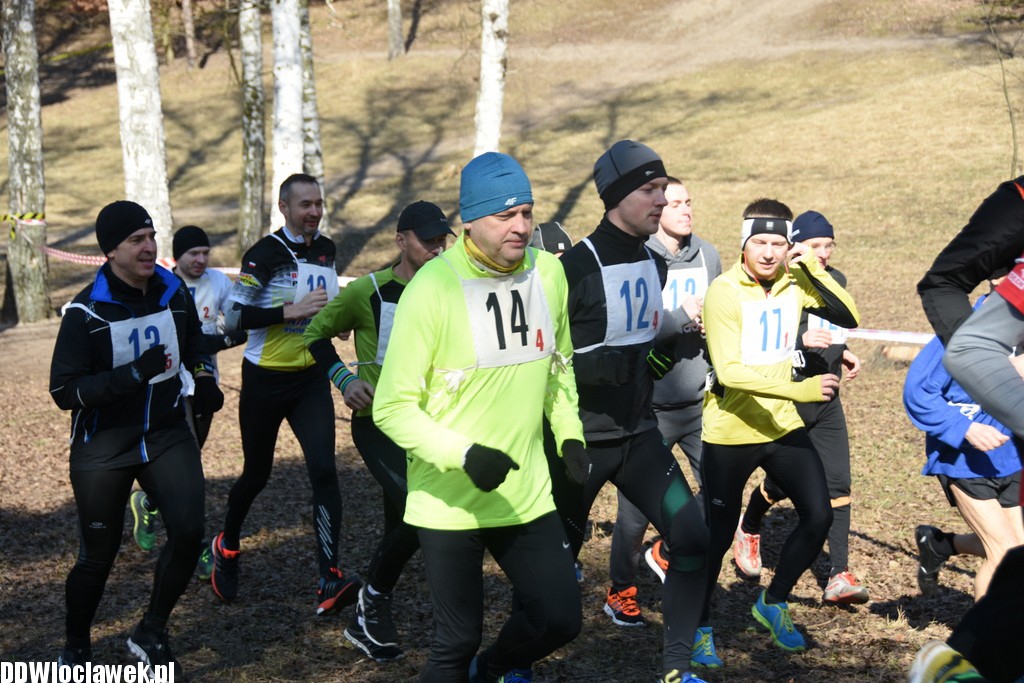 Vladislavia Cross na Zawiślu