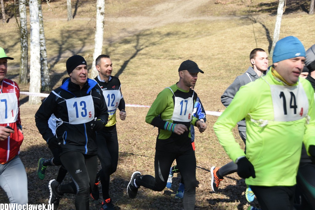 Vladislavia Cross na Zawiślu