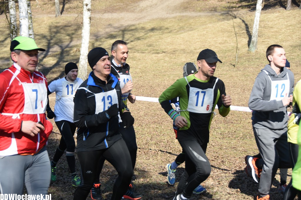 Vladislavia Cross na Zawiślu