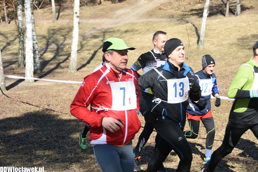 Vladislavia Cross na Zawiślu