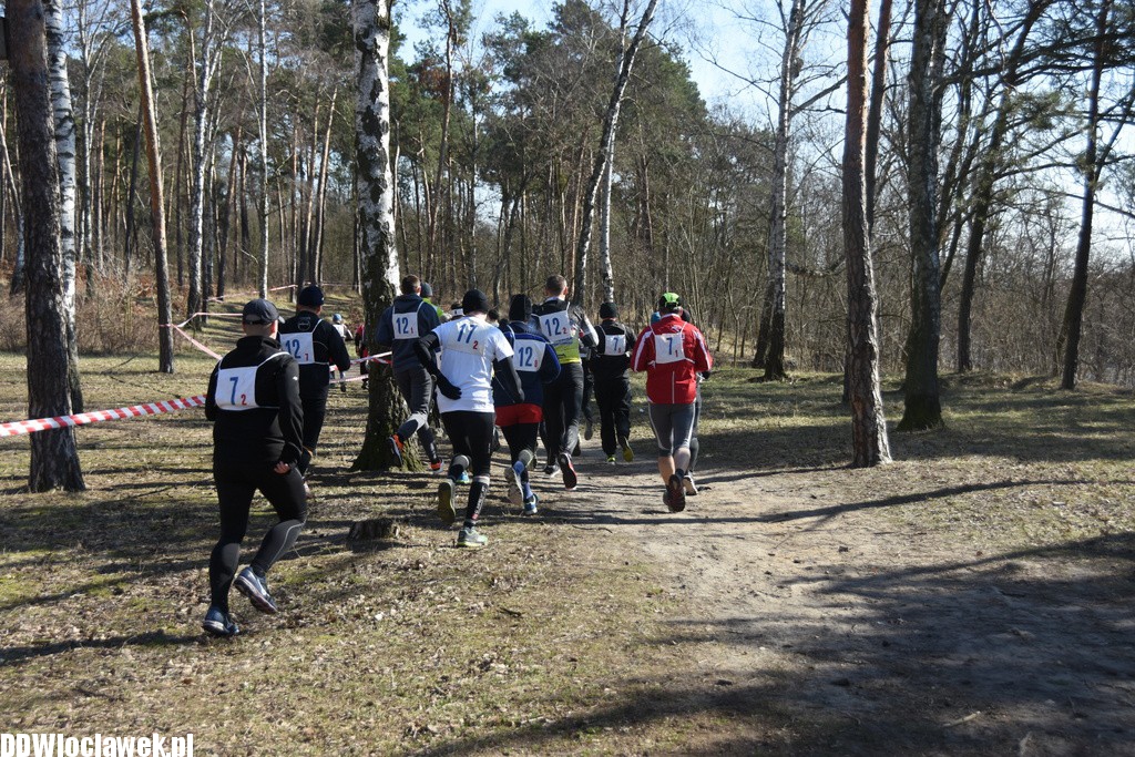 Vladislavia Cross na Zawiślu