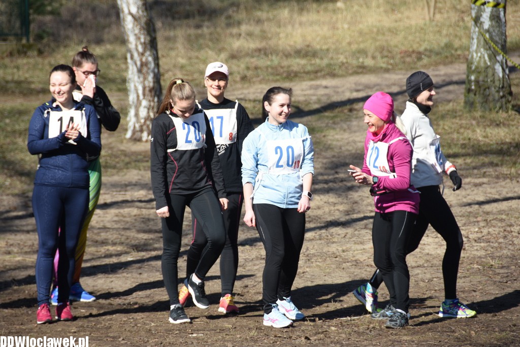 Vladislavia Cross na Zawiślu
