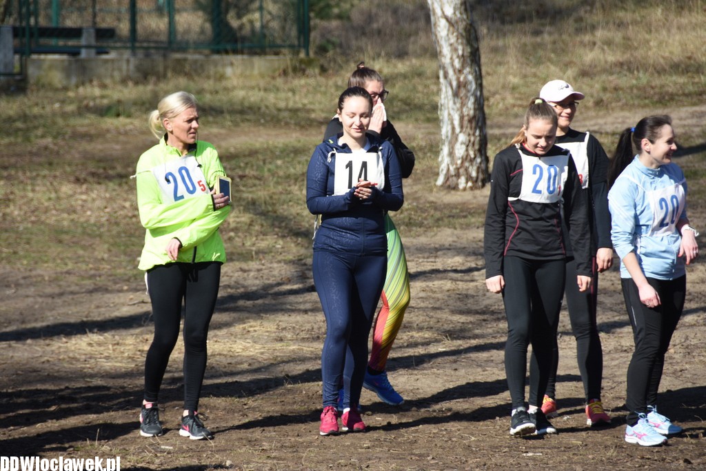 Vladislavia Cross na Zawiślu
