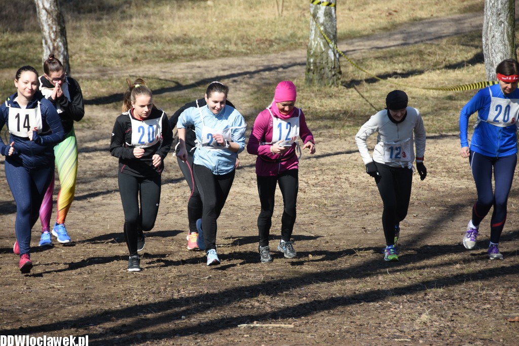 Vladislavia Cross na Zawiślu